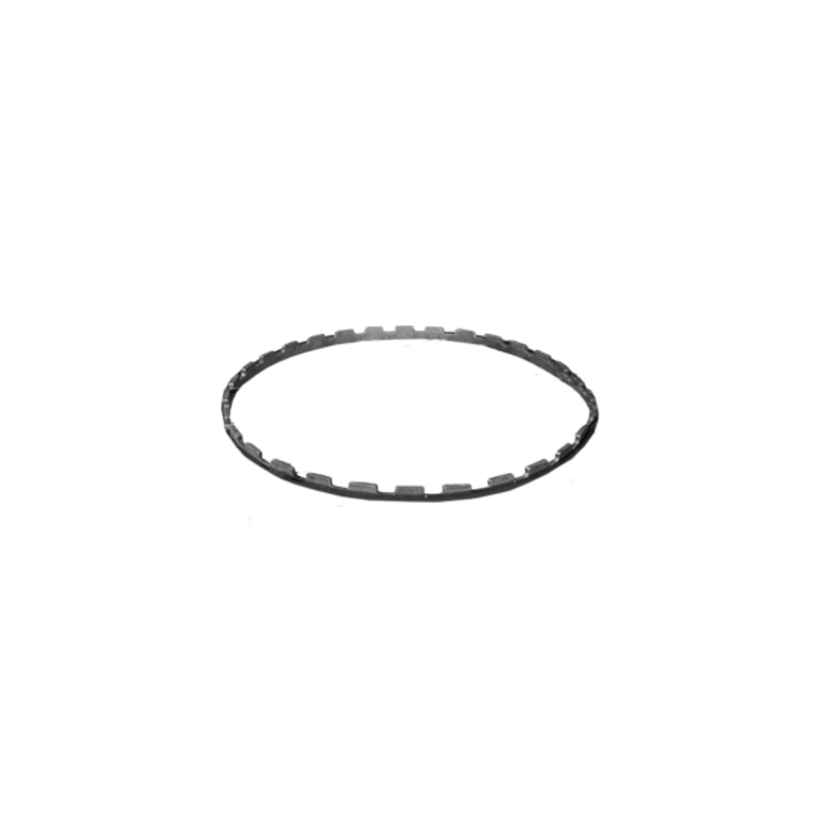 Horizontal Spett Ring 100